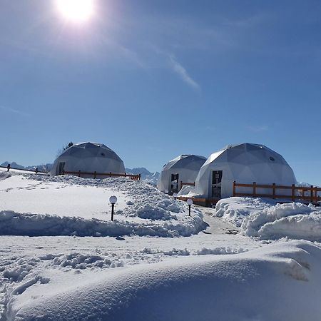 Glamping Pasieka Namiot Glamp Bukowina Tatrzanska - Domki W Gorach Groń 外观 照片