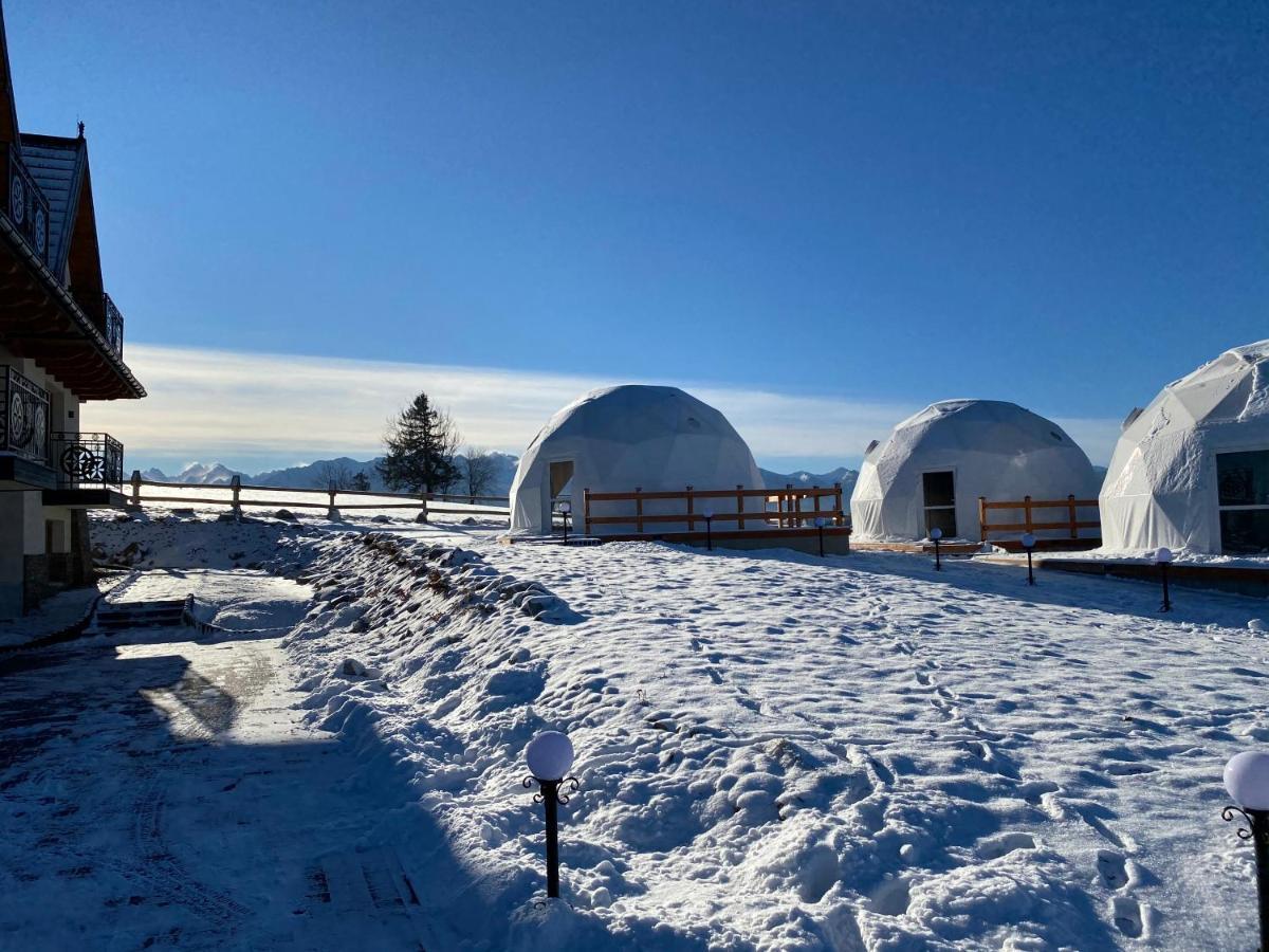 Glamping Pasieka Namiot Glamp Bukowina Tatrzanska - Domki W Gorach Groń 外观 照片