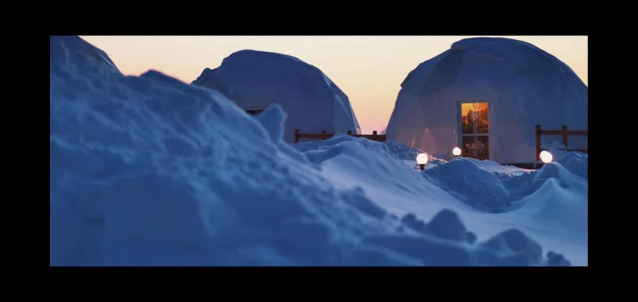 Glamping Pasieka Namiot Glamp Bukowina Tatrzanska - Domki W Gorach Groń 外观 照片