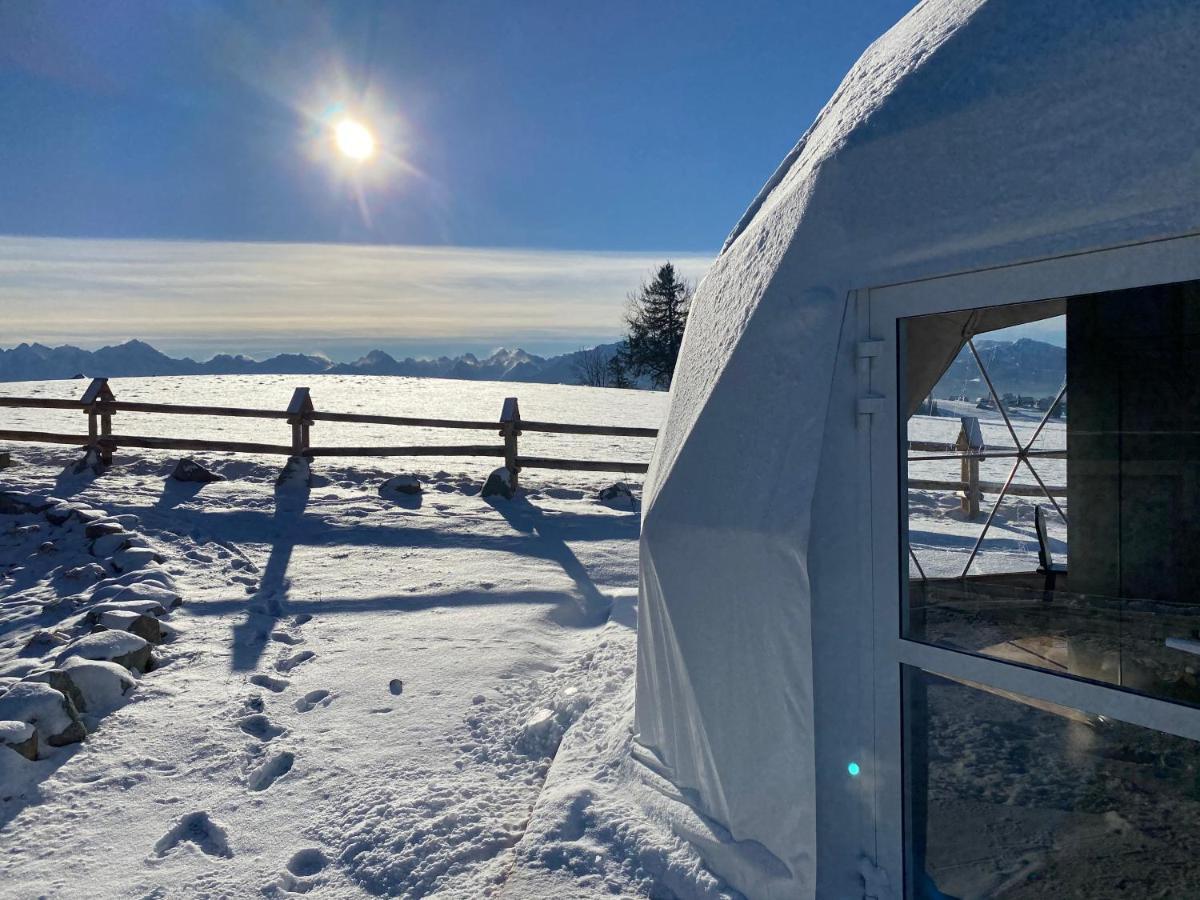Glamping Pasieka Namiot Glamp Bukowina Tatrzanska - Domki W Gorach Groń 外观 照片