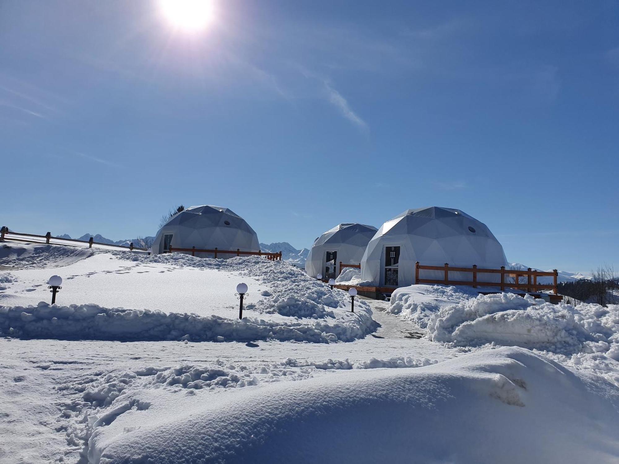 Glamping Pasieka Namiot Glamp Bukowina Tatrzanska - Domki W Gorach Groń 外观 照片