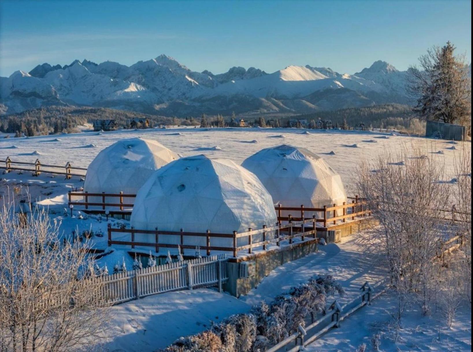 Glamping Pasieka Namiot Glamp Bukowina Tatrzanska - Domki W Gorach Groń 外观 照片